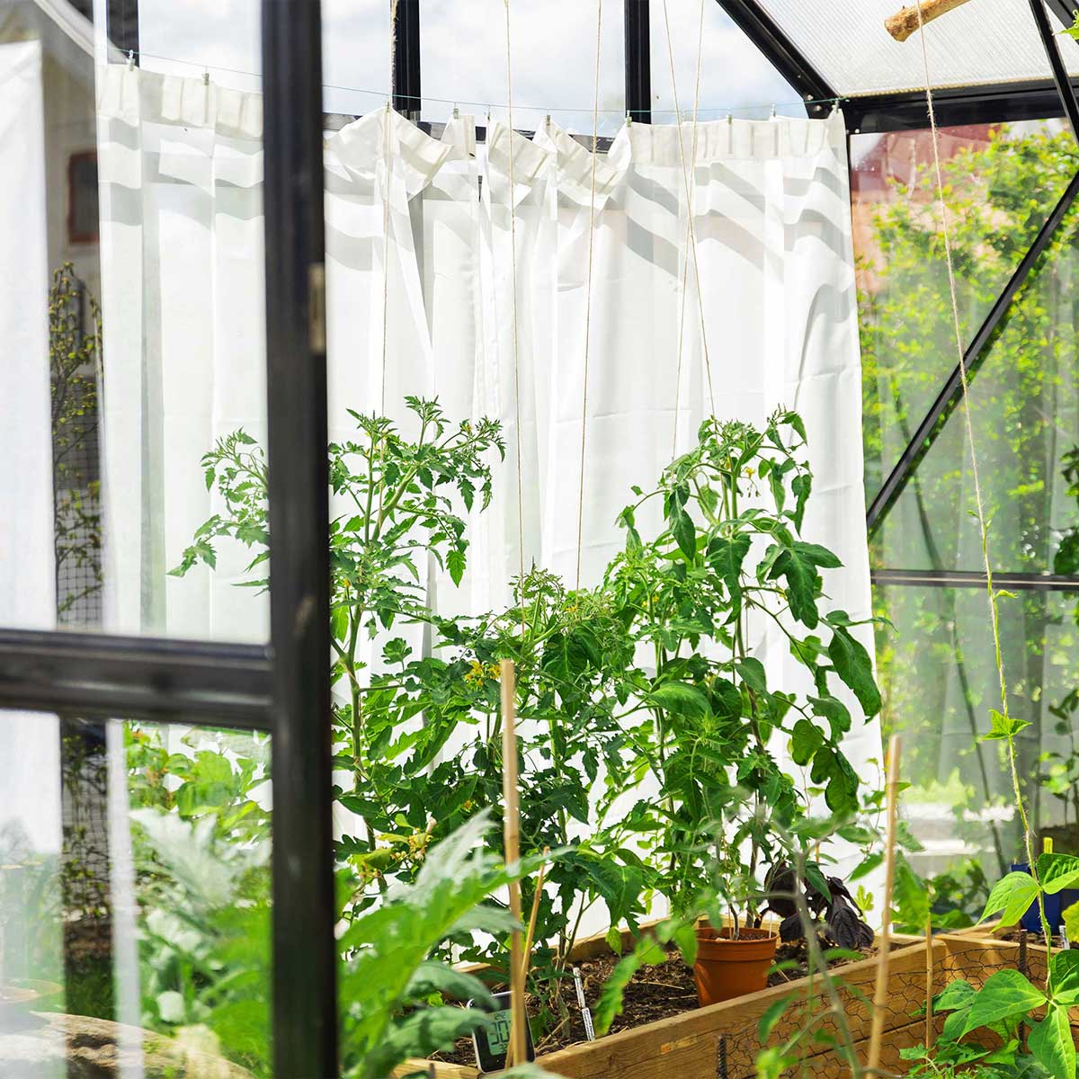 Växthus Metalcraft 11,2 kvm Svart T-format