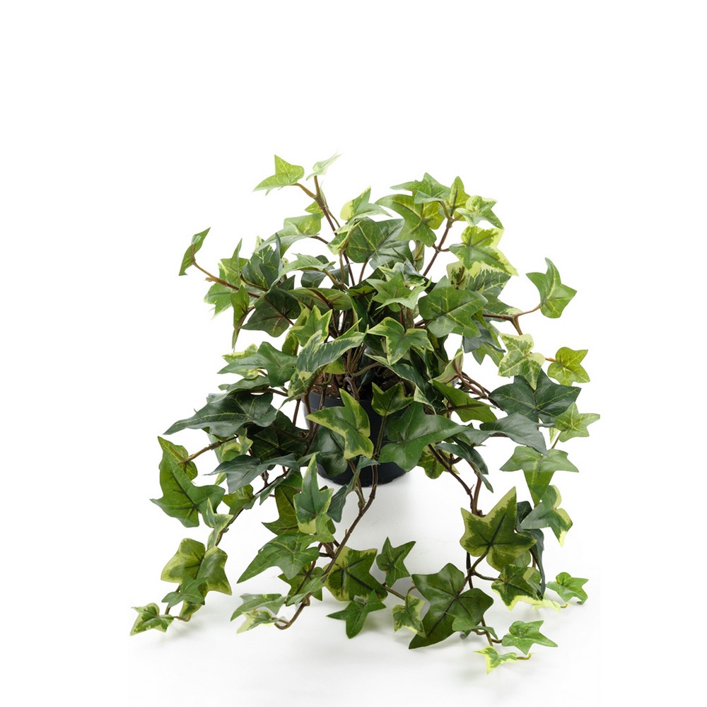 Konstväxt Fröken Fräken Murgröna Grön 30 cm