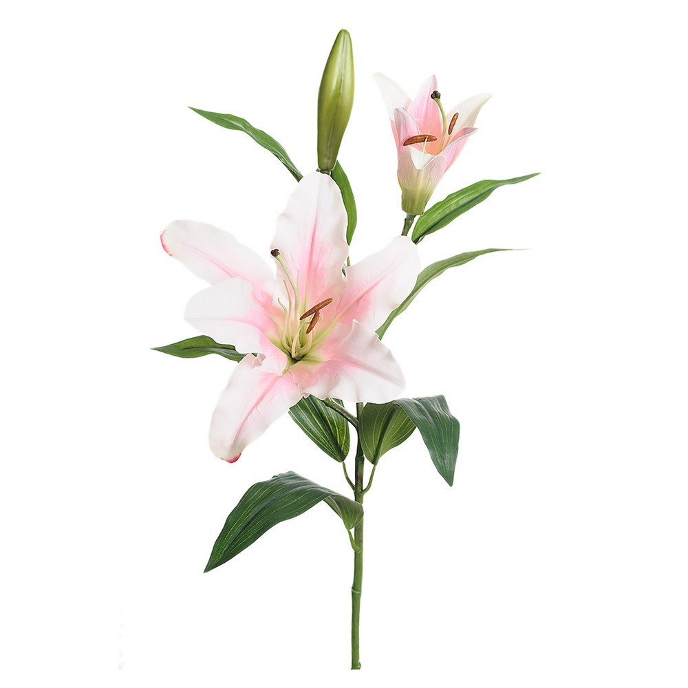 Konstväxt Fröken Fräken Lilja