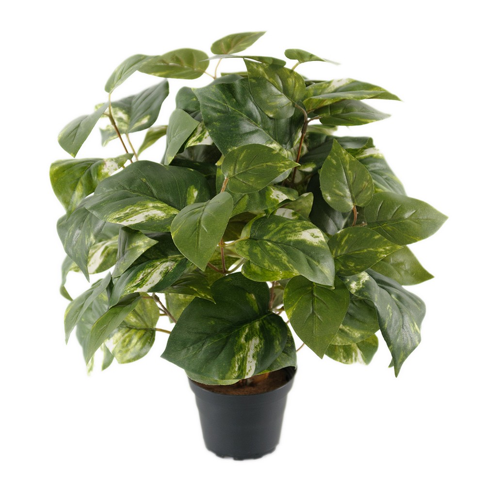 Konstväxt Fröken Fräken Gullranka 40 cm Grön