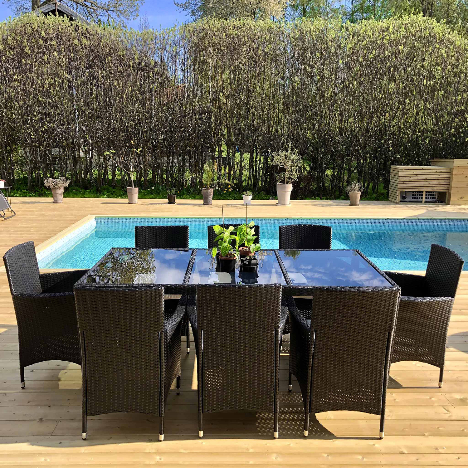 Matgrupp Lyfco Lysekil Svart med 8 stolar och Dynor