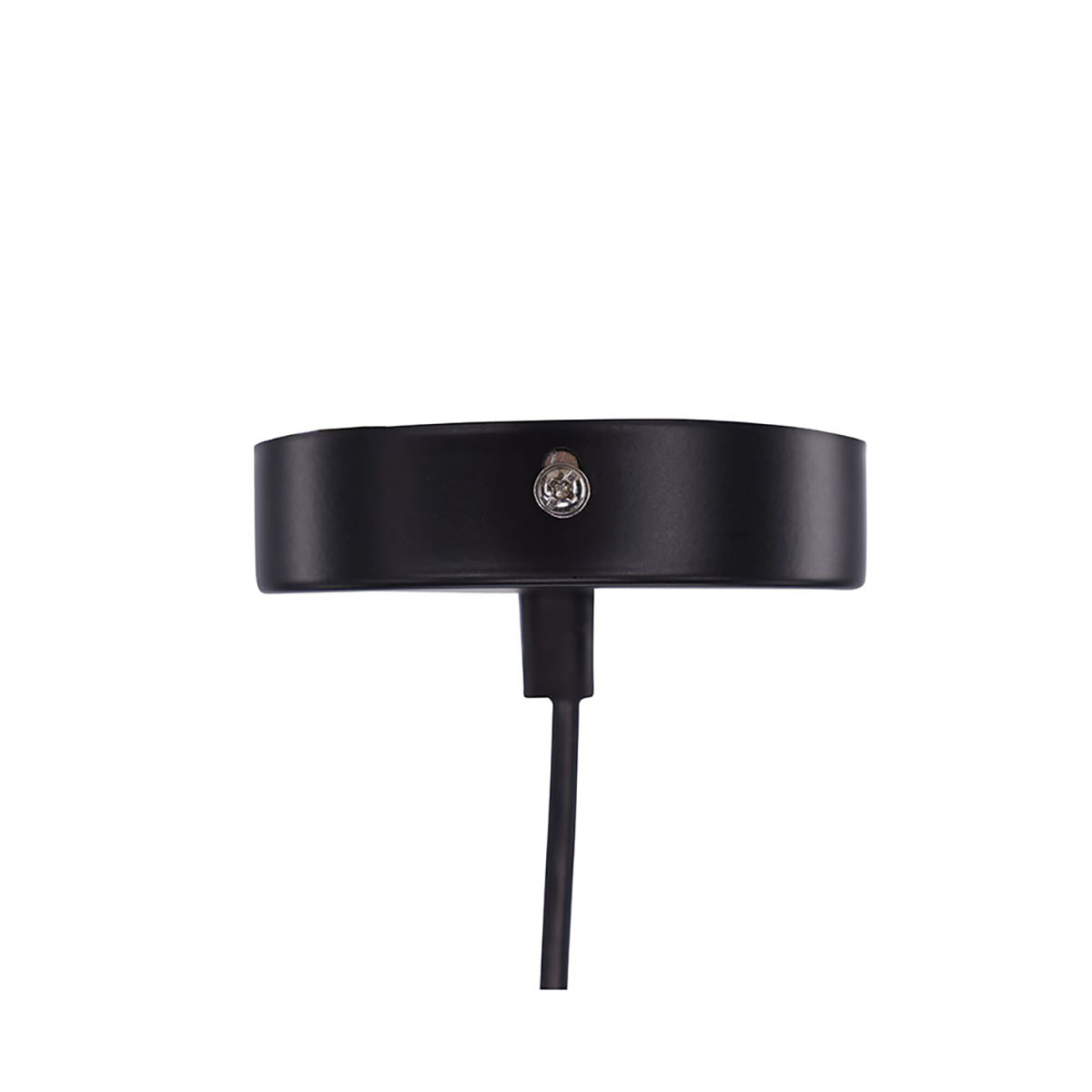 Taklampa Venture Home Nicola - Large