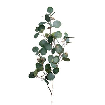 Konstväxt Fröken Fräken Eucalyptus med bär Grön