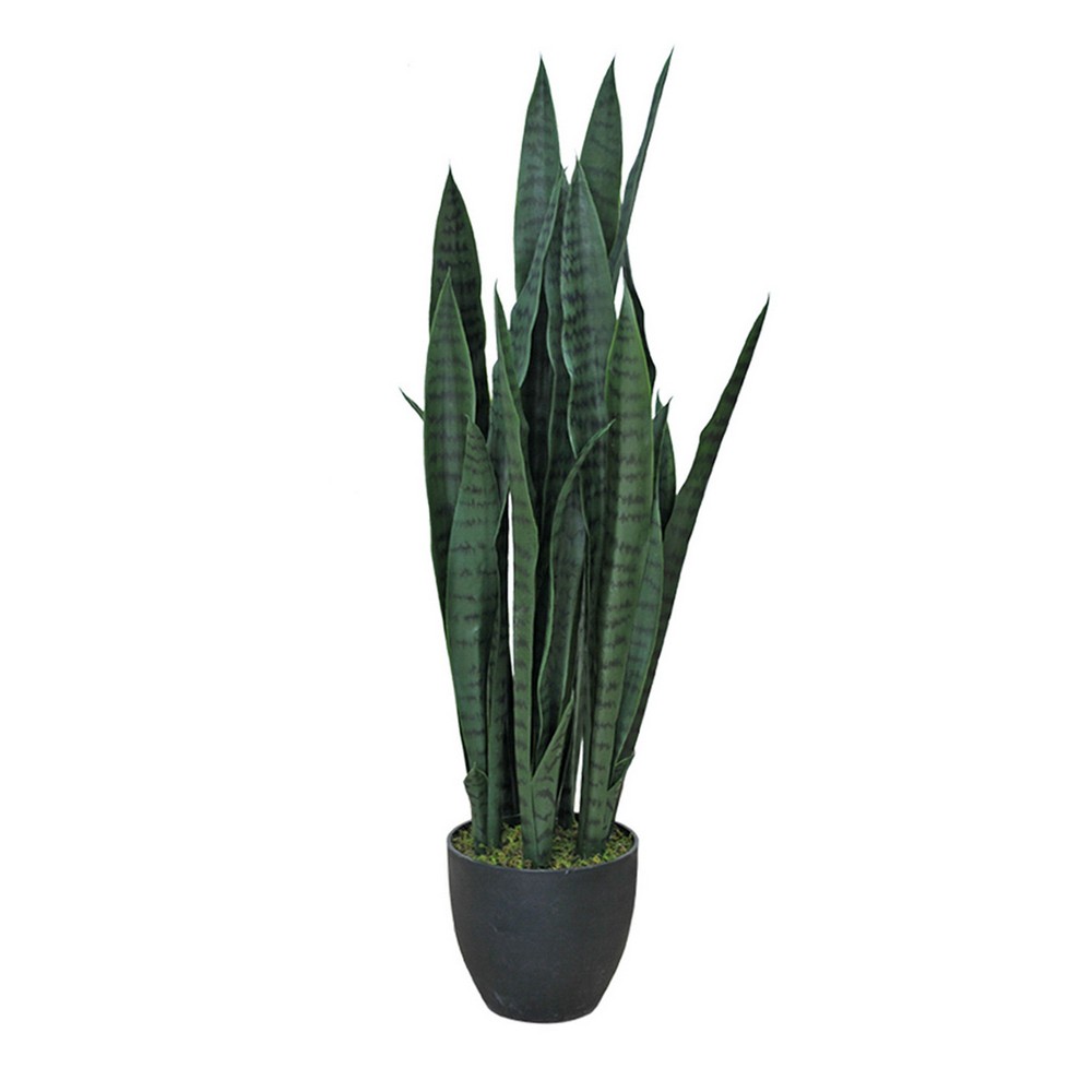 Konstväxt Fröken Fräken Sansiveria Grön