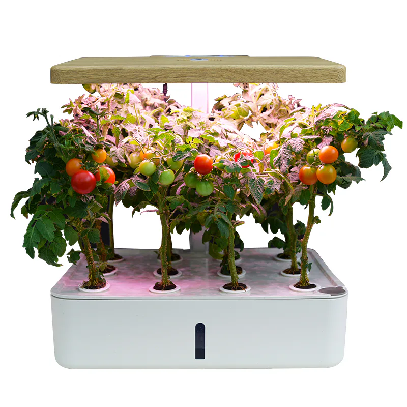 Hydroponisk Odlingslåda RobotGarden Hydroponisk Odling med Startkit & Växtlampa, Vit