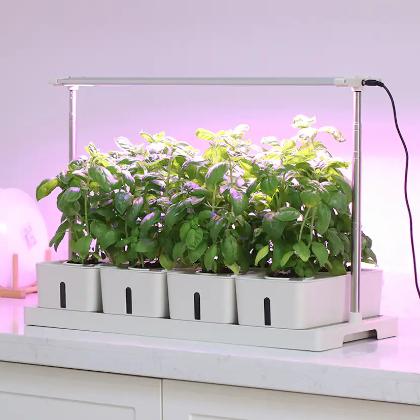 Hydroponisk Odling RobotGarden Odlingslådor Med Växtlampa & Startkit ...
