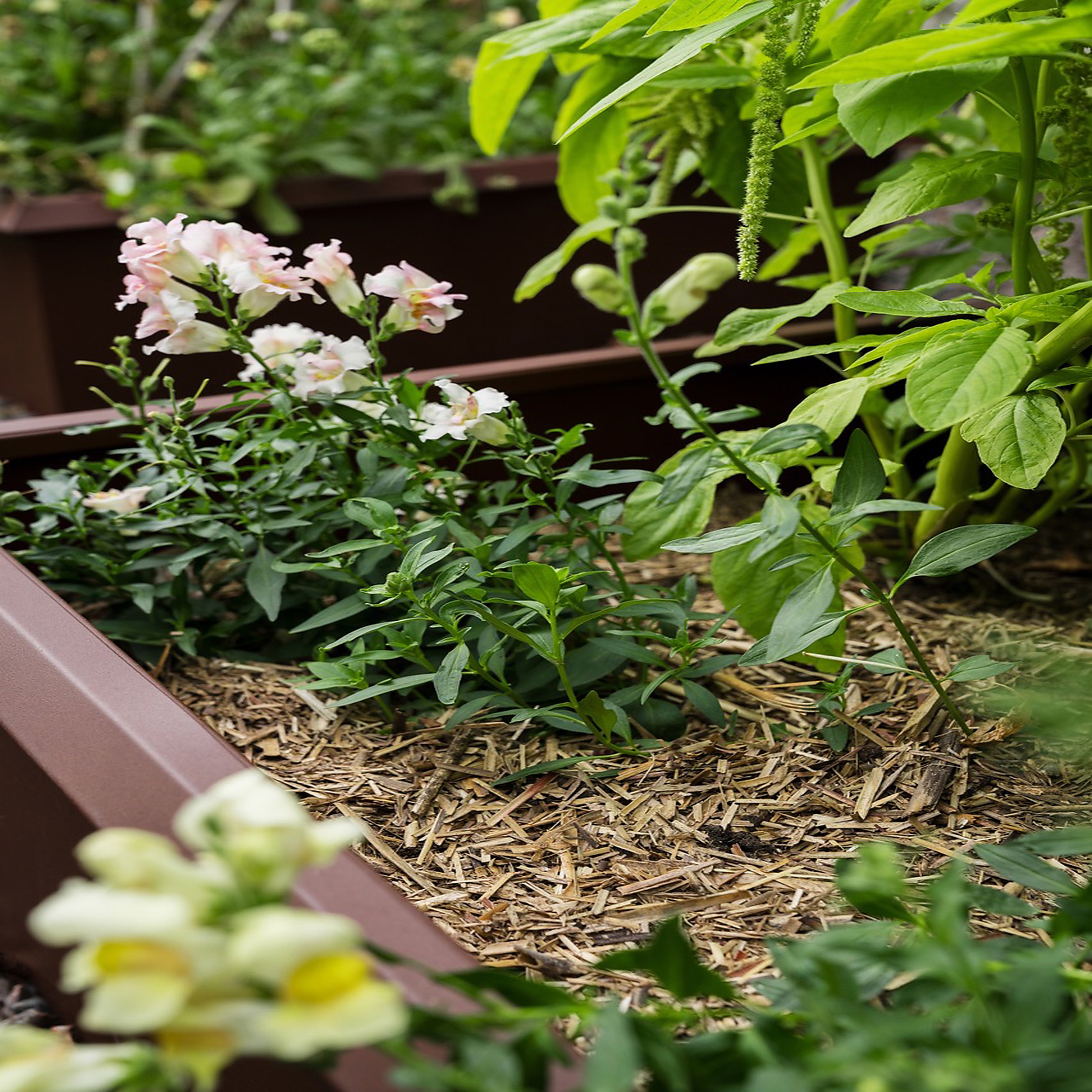 Täckvass Weibulls 60 L 45 st/pall