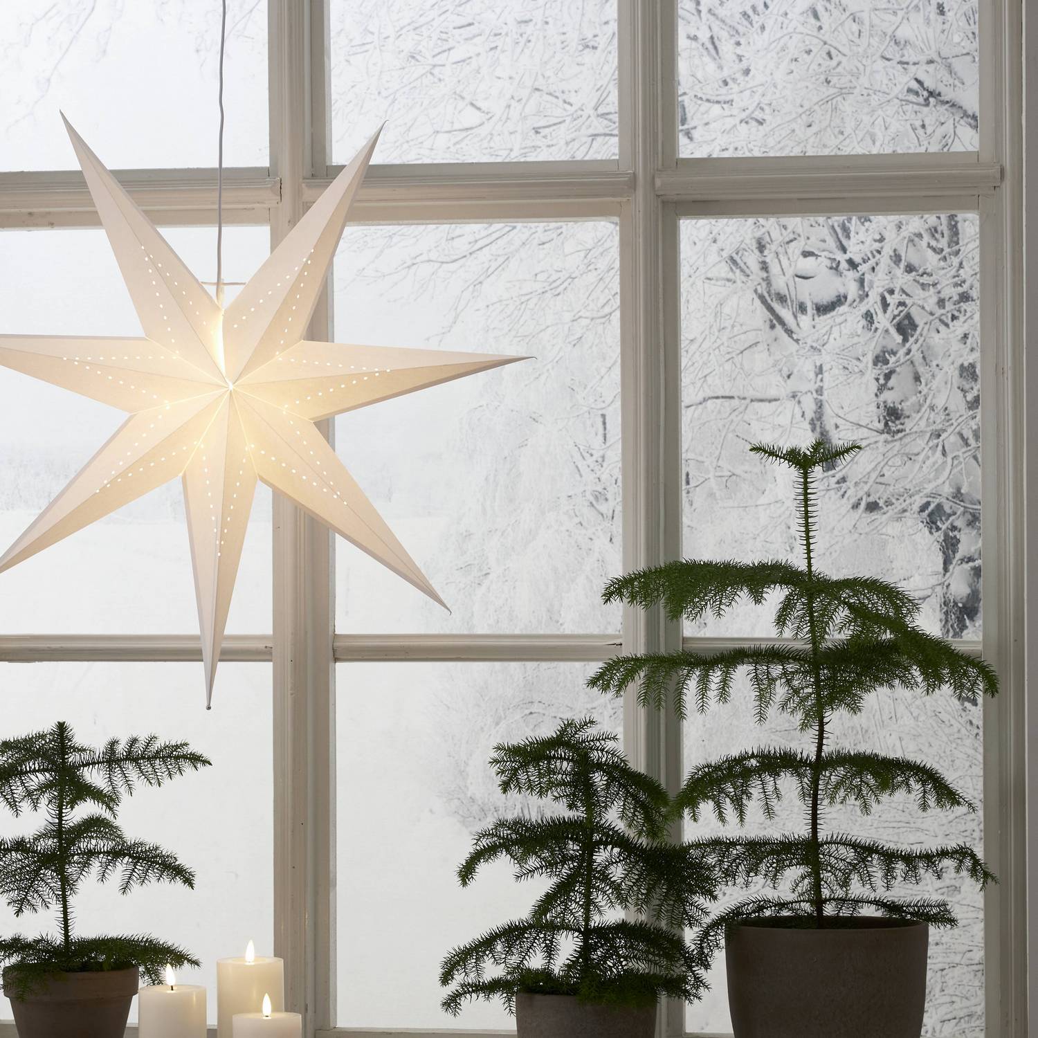 Adventsstjärna Star Trading LYSA Papperstjärna