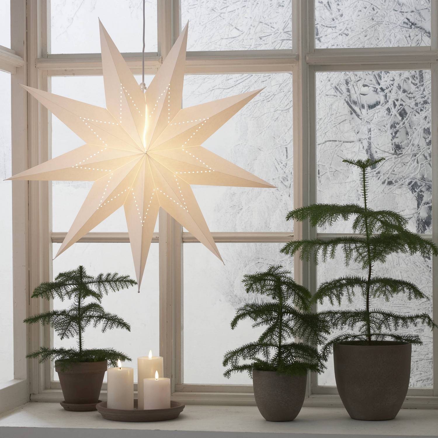 Adventsstjärna Star Trading LYSA Papperstjärna