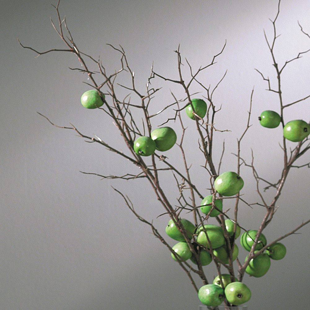 Glasbyte Swedoor Sido-/Överljus