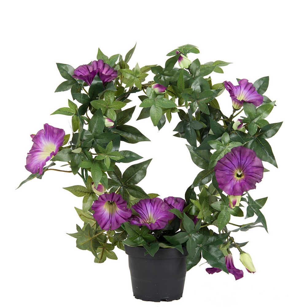 Konstväxt Fröken Fräken Blomma för Dagen 35 cm