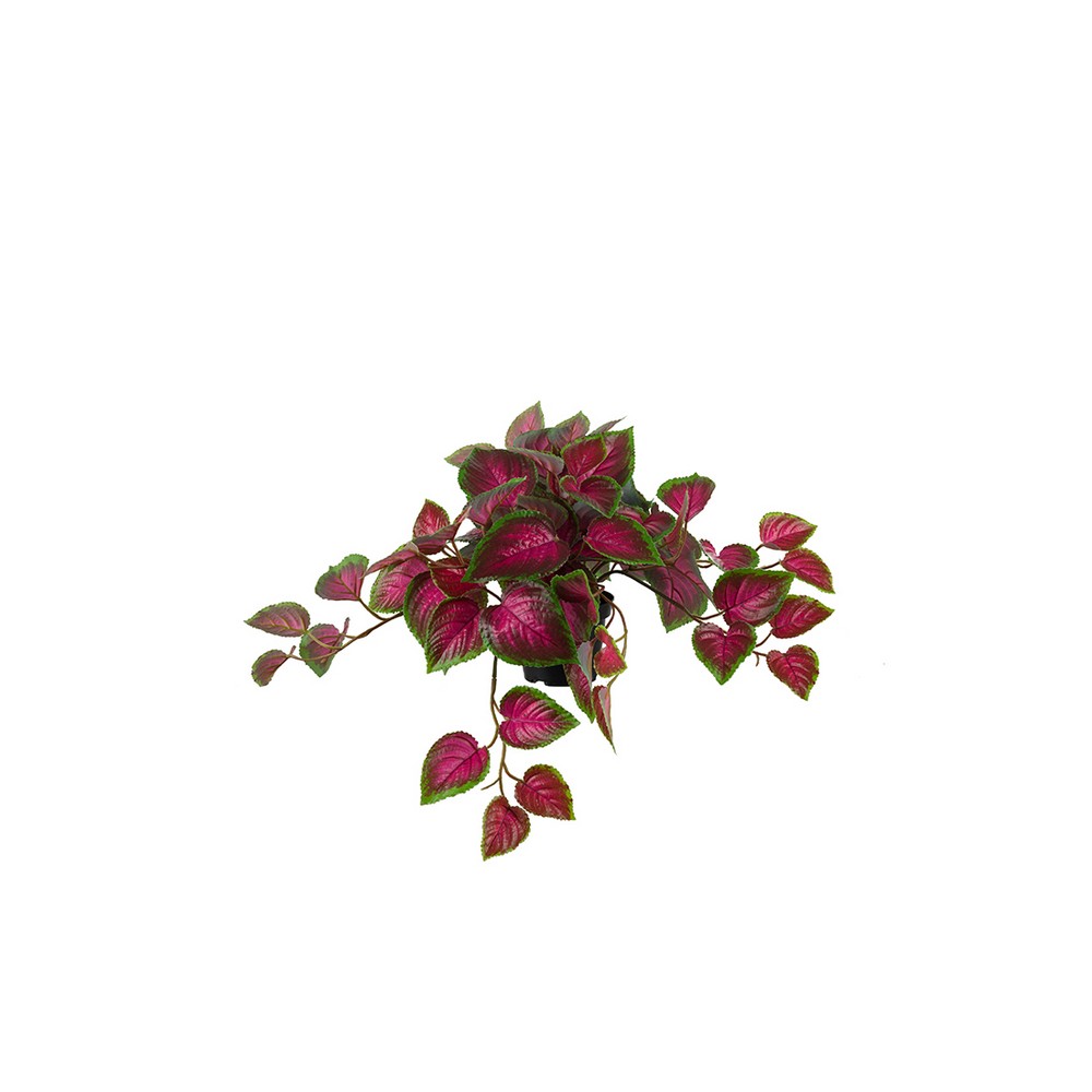 Konstväxt Fröken Fräken Palettblad Flerfärgad