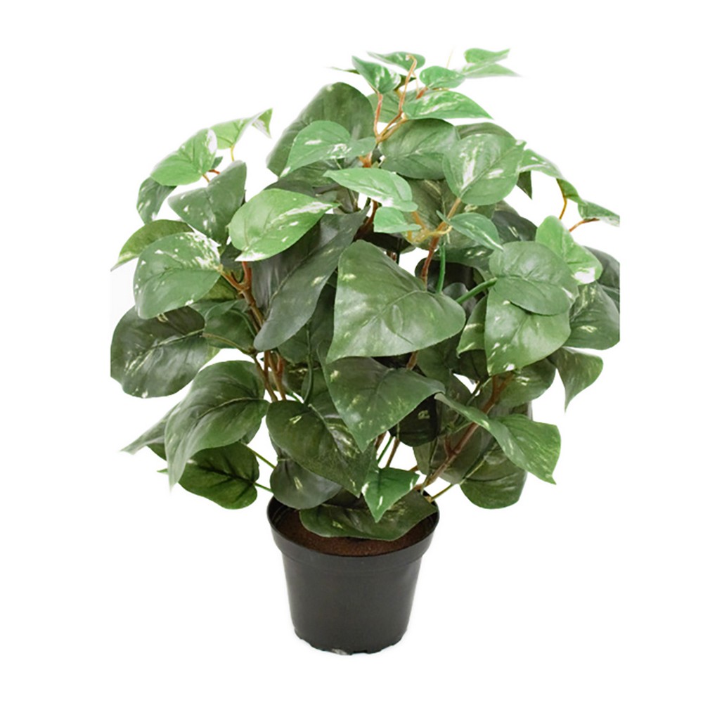 Konstväxt Fröken Fräken Gullranka 35 cm Grön