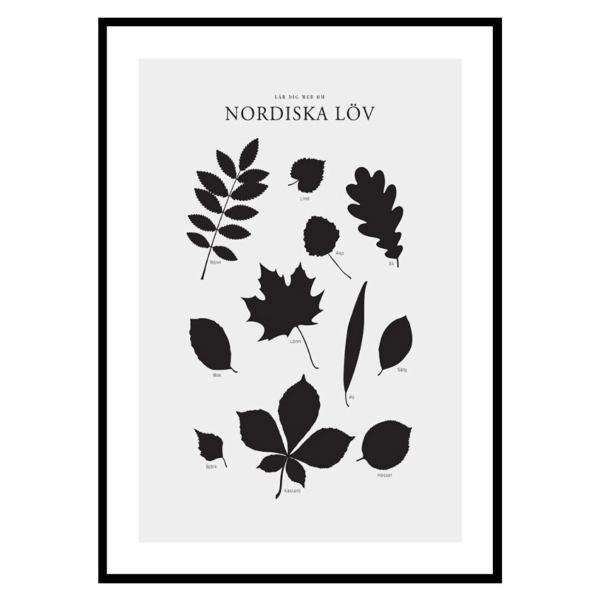 Poster Gallerix Nordiska Löv