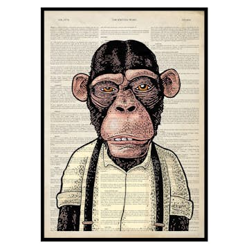 Poster Gallerix The Chimpanzee