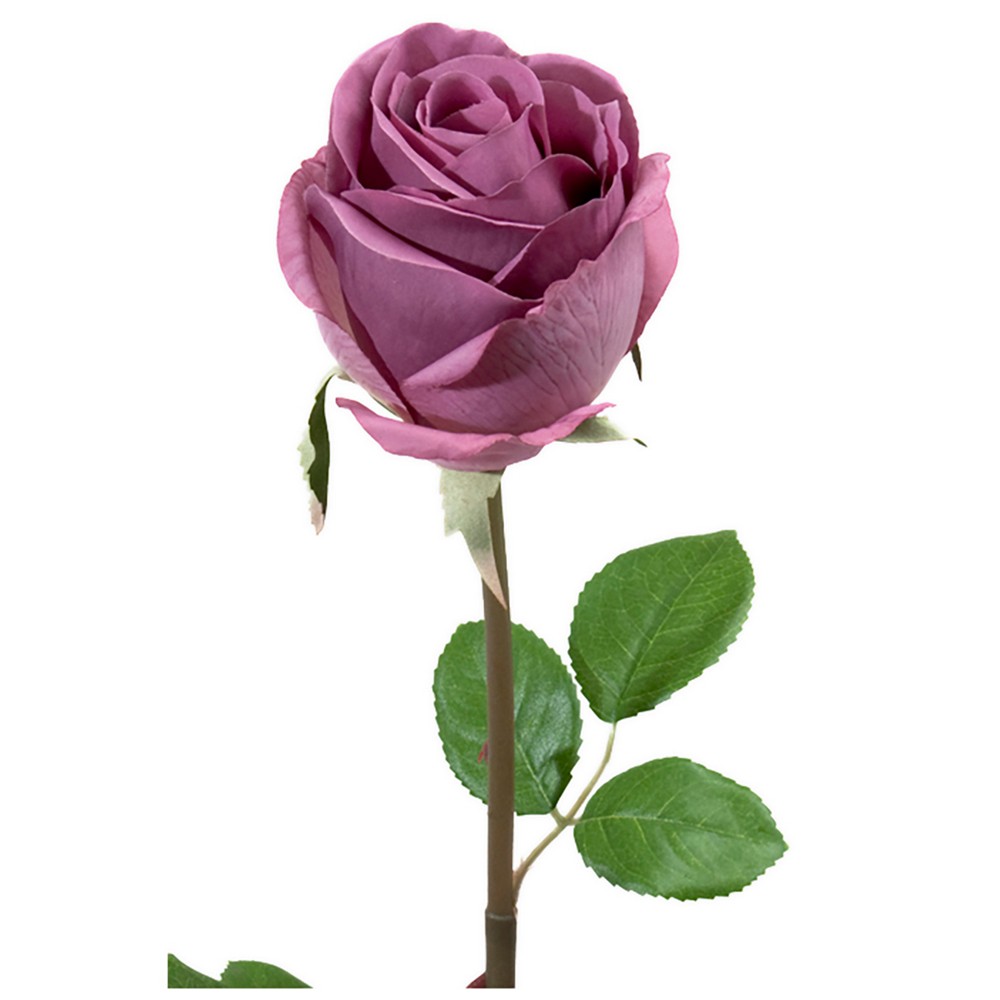 Konstväxt Fröken Fräken Ros 75 cm
