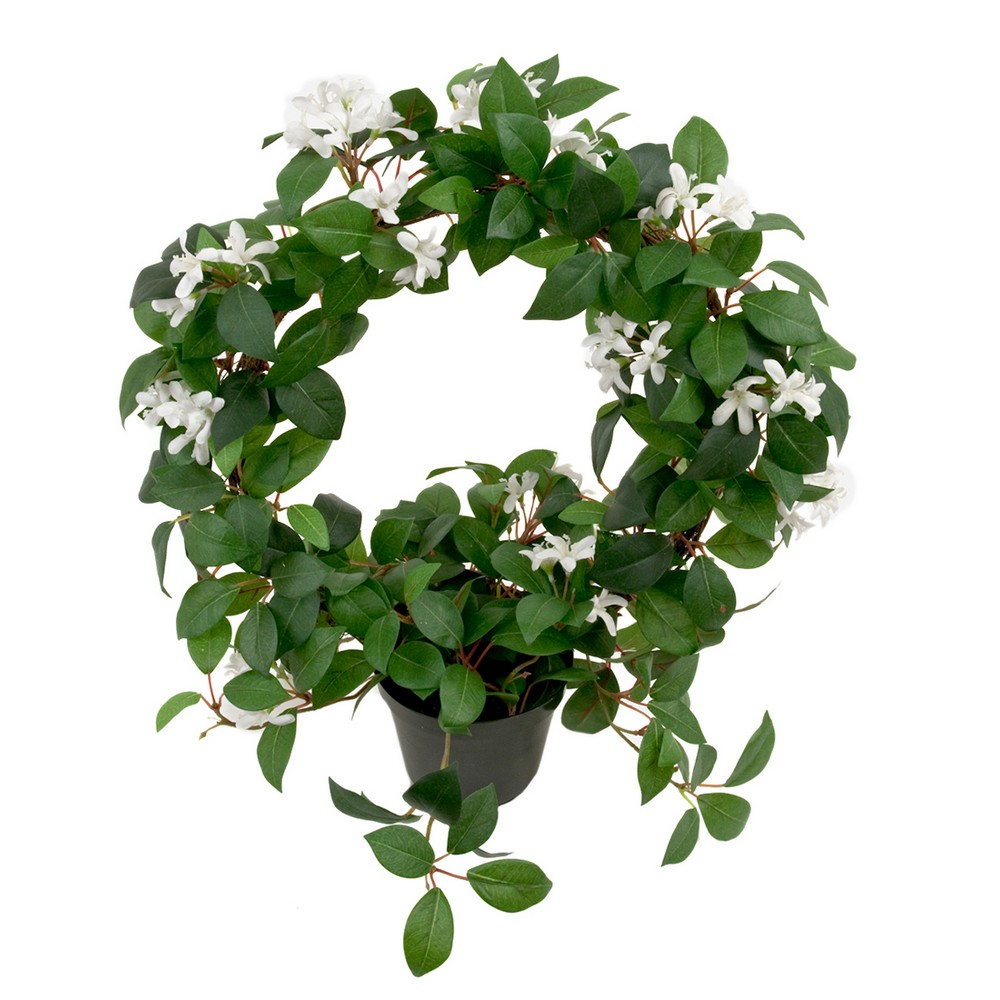 Konstväxt Fröken Fräken Jasmine Vit