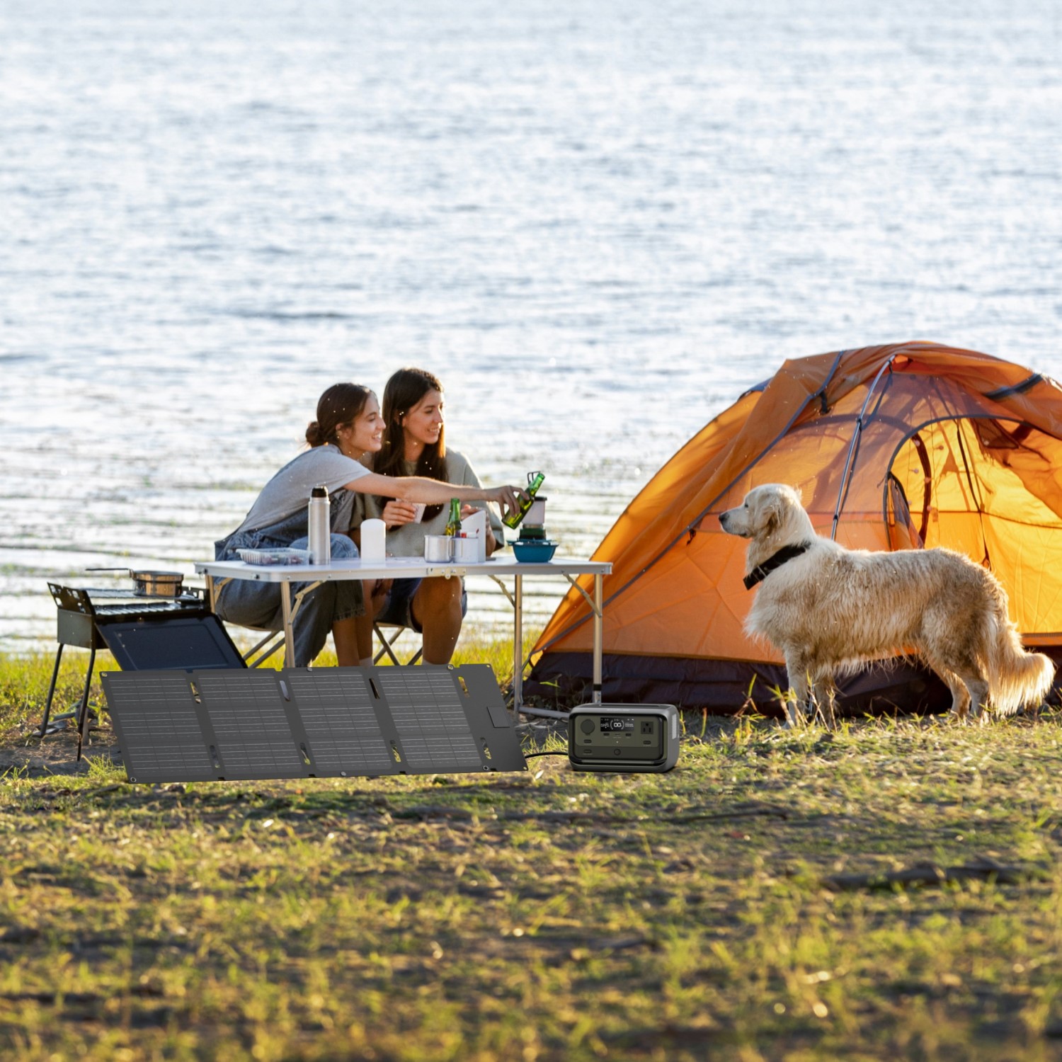 Solcellspanel Ecoflow Portabel med Ställbart Skyddsfodral