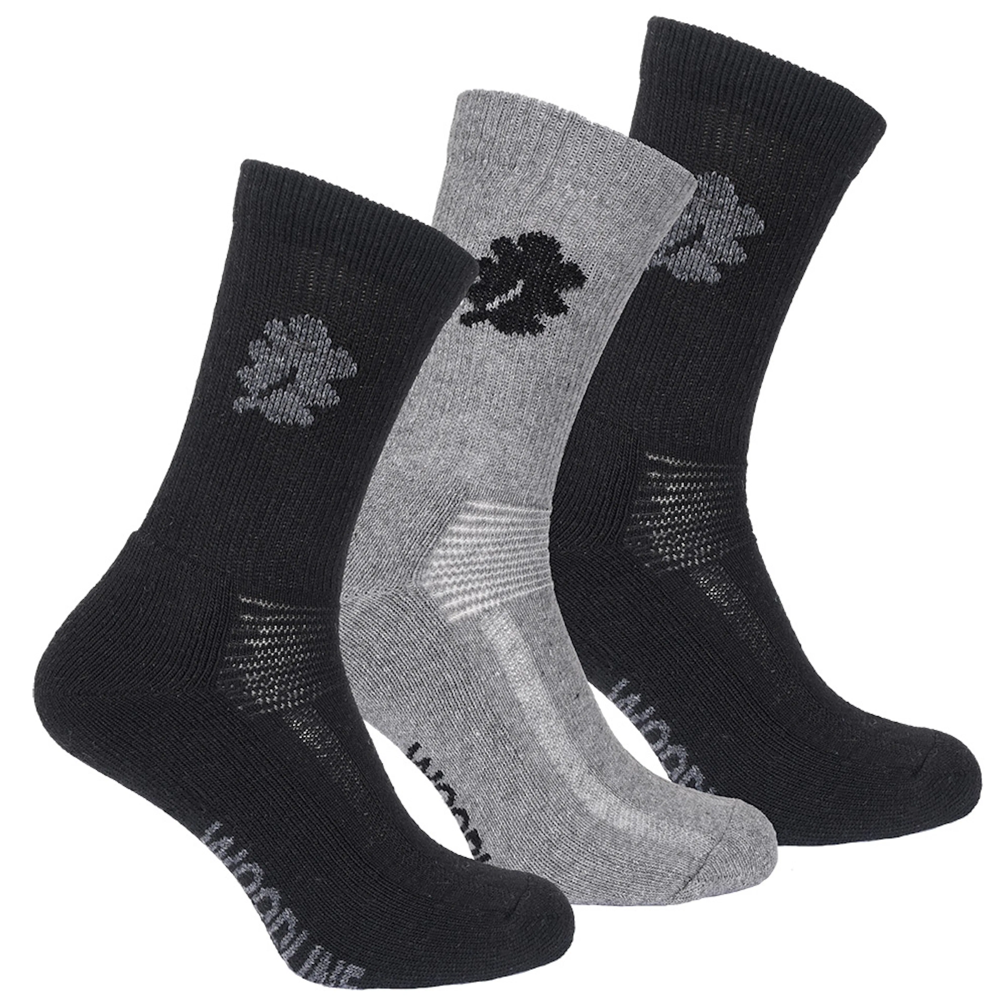 Sockar Woodline Allround Merinoull 3-pack