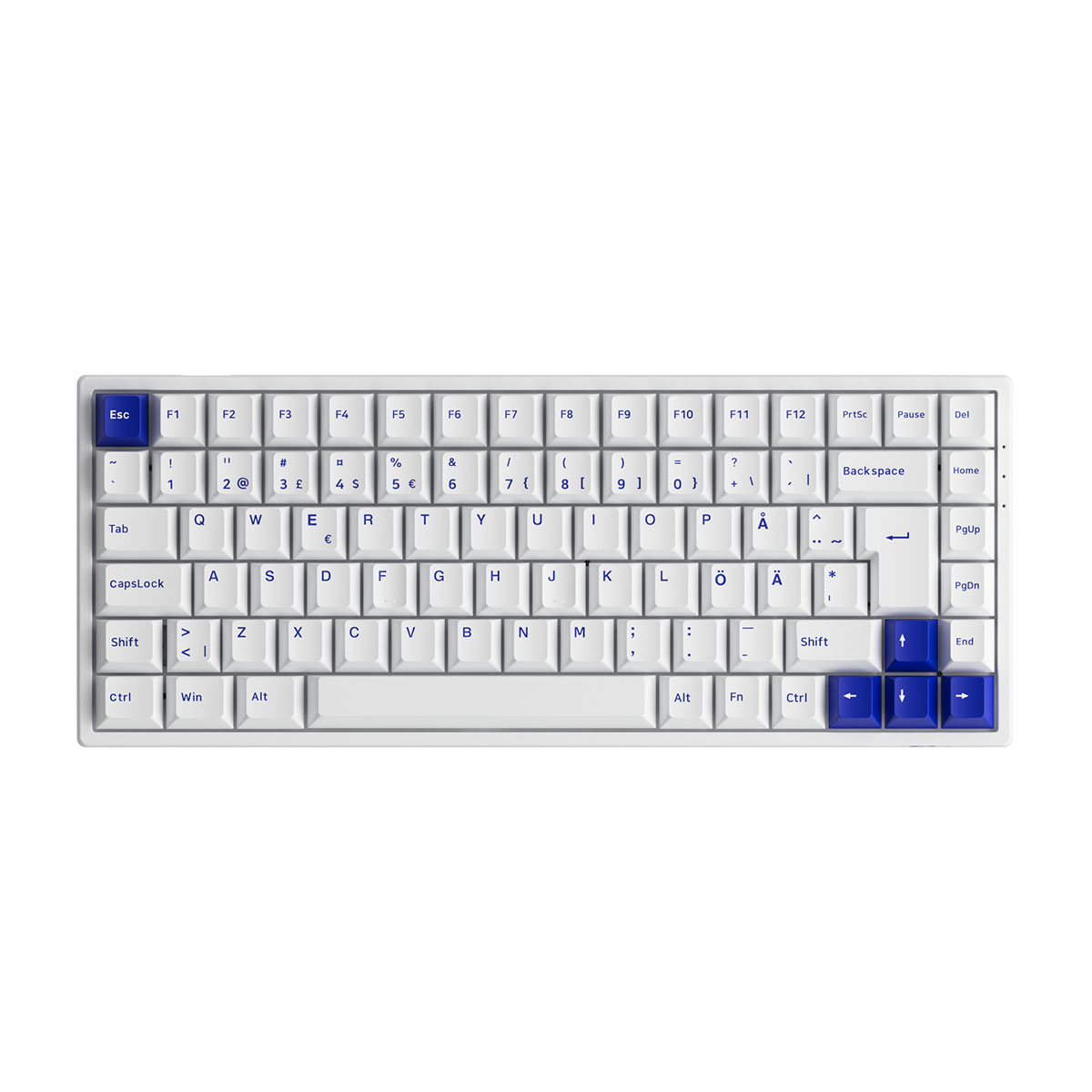 Gamingtangentbord Akkogear 3084B Plus