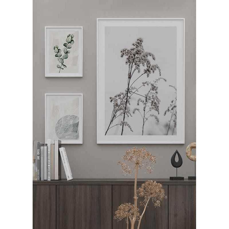 Poster Gallerix Dry Flowers