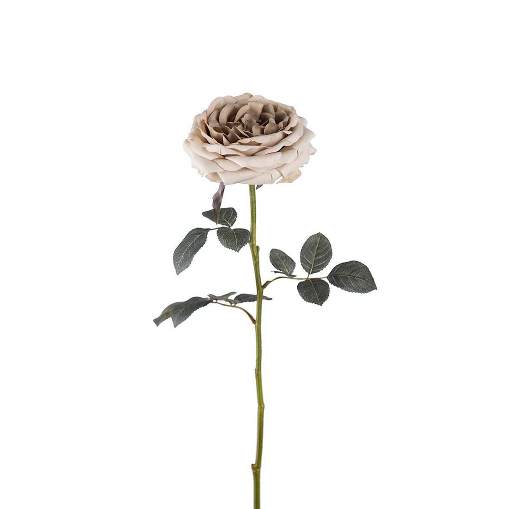 Konstväxt Fröken Fräken Ros 65 cm Beige