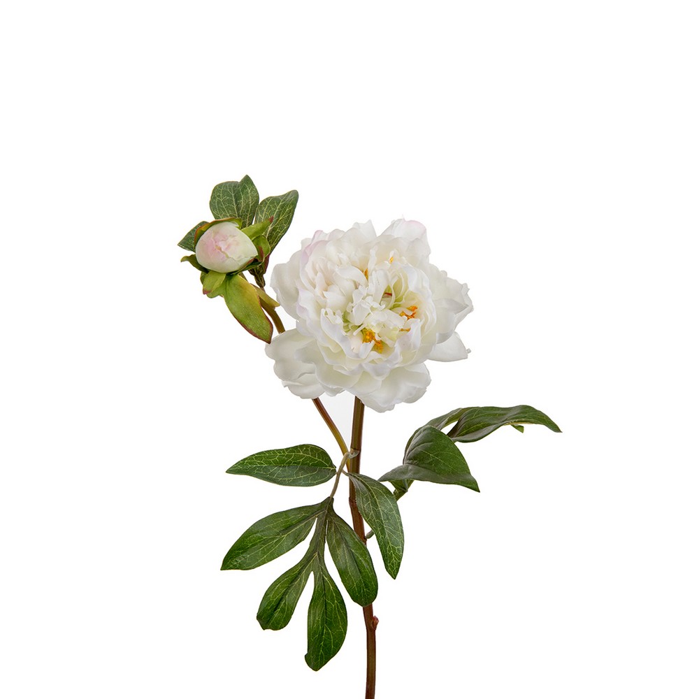 Konstväxt Fröken Fräken Pion Vit/Rosa Kvist