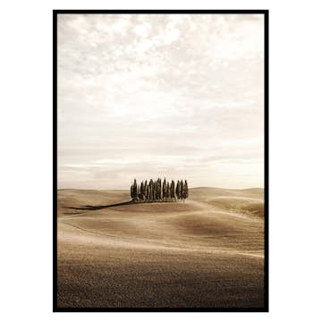 Poster Gallerix Cypress trees
