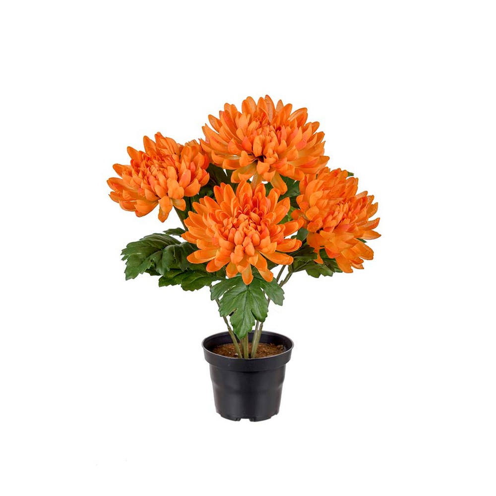 Konstväxt Fröken Fräken Chrysanthemum 30 cm