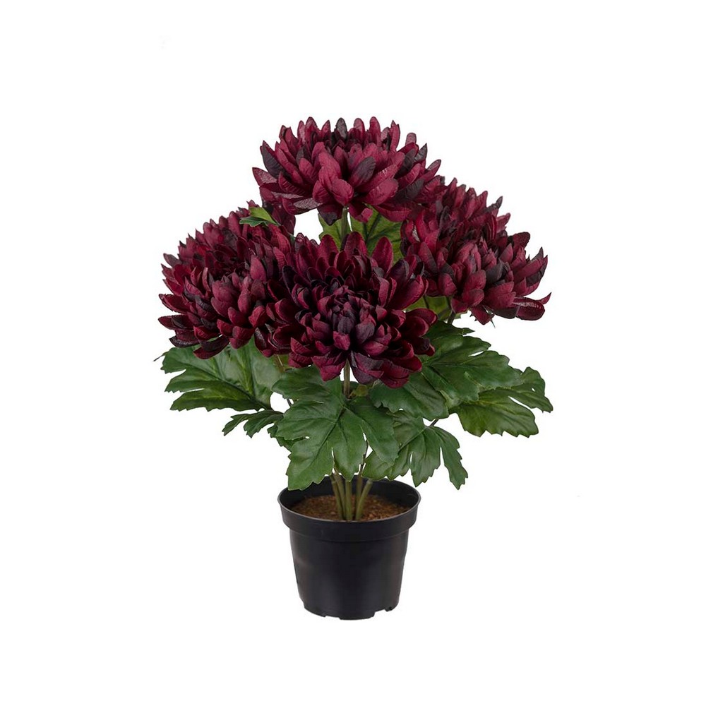 Konstväxt Fröken Fräken Chrysanthemum 30 cm