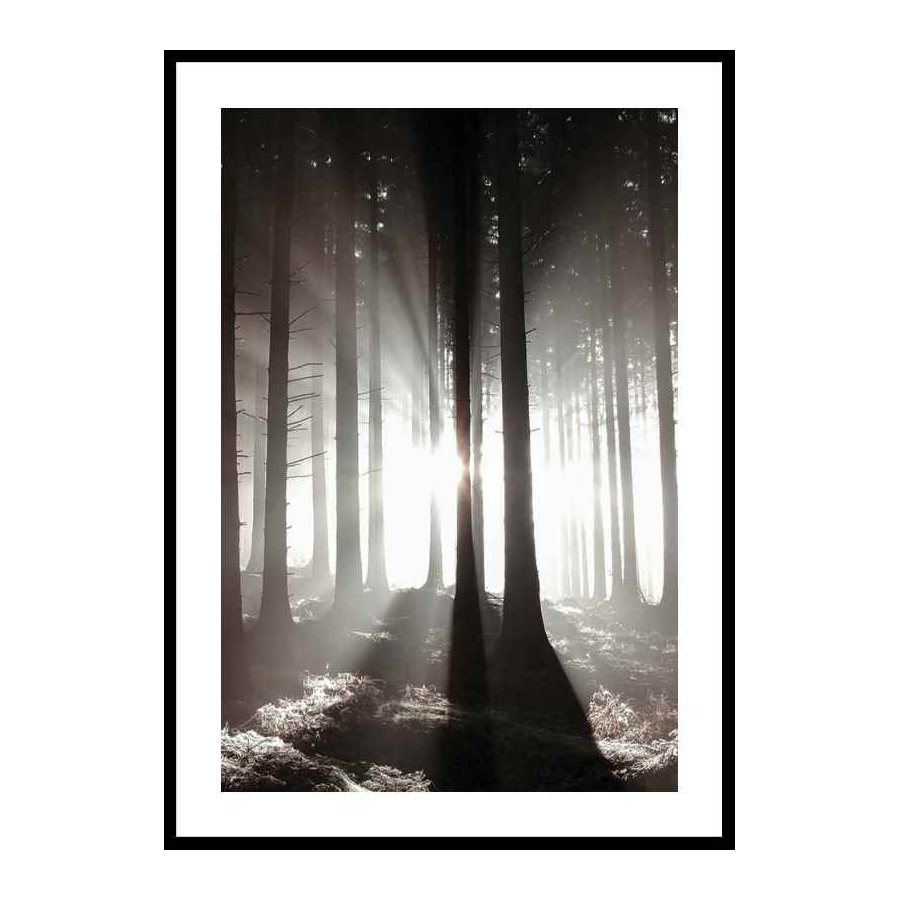 Poster Gallerix Misty Autumn Morning