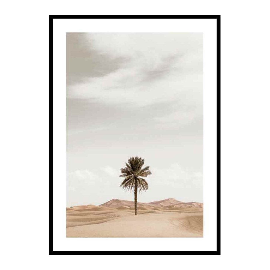 Poster Gallerix Palm Tree In Desert