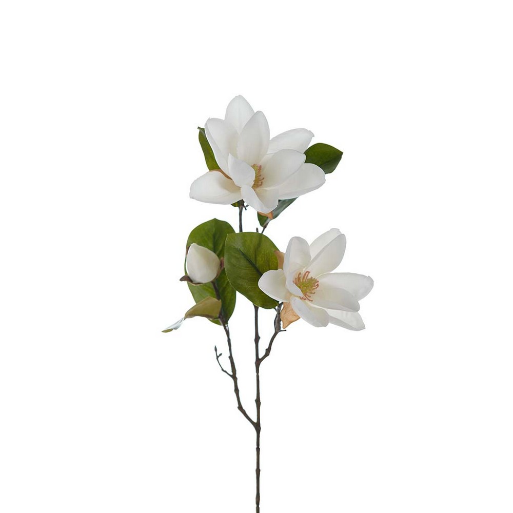 Konstväxt Fröken Fräken Magnolia Kvist 70 cm