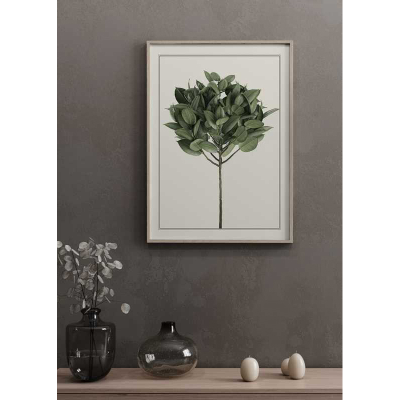 Poster Gallerix Ficus Elastica