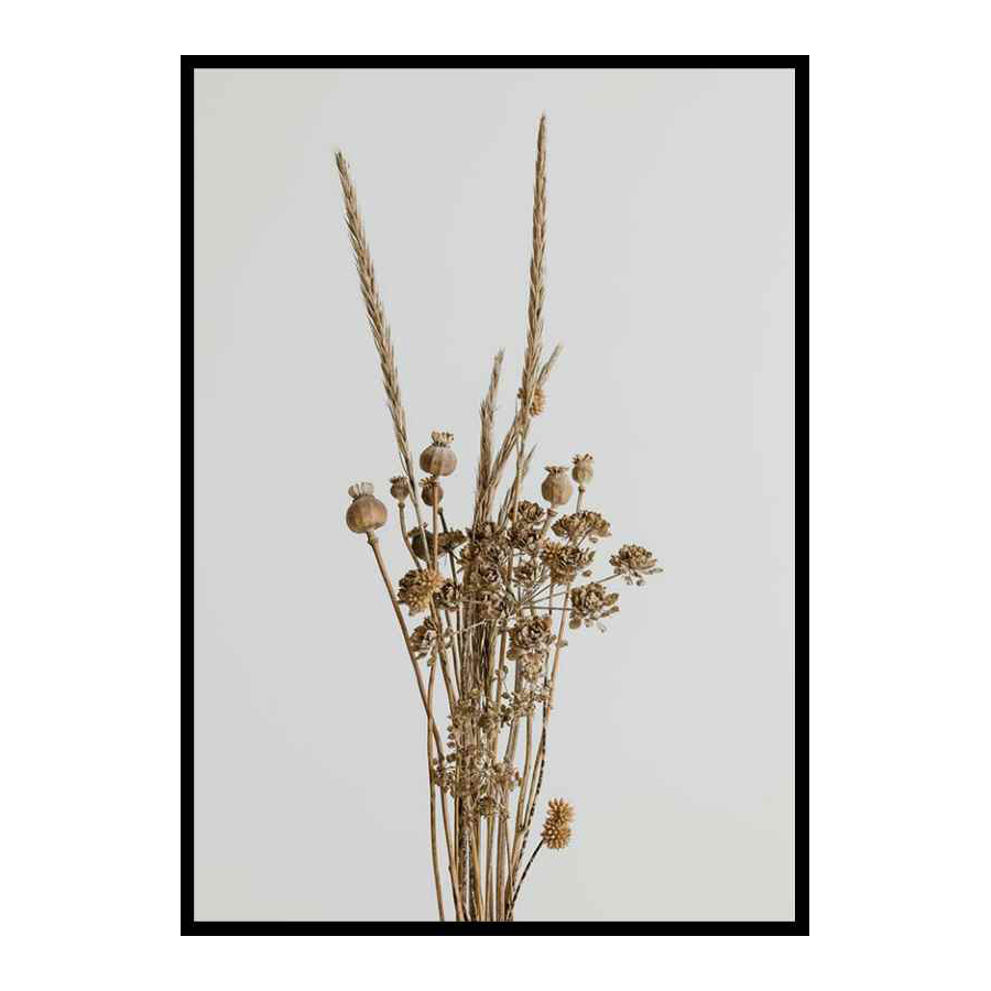 Poster Gallerix Dried Bouquet No1