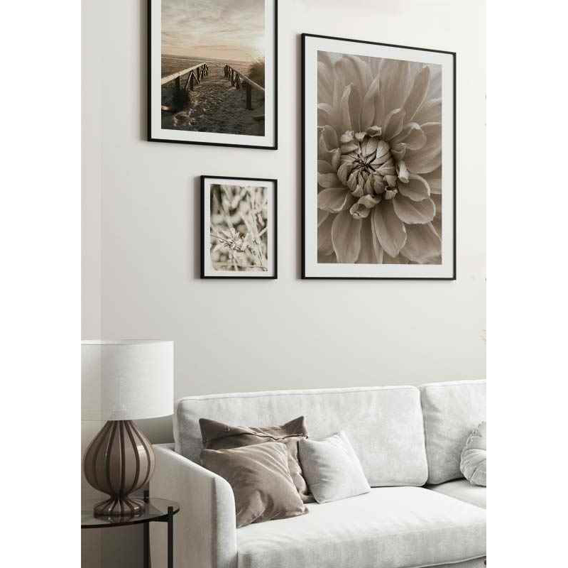 Poster Gallerix Autumn Dahlia