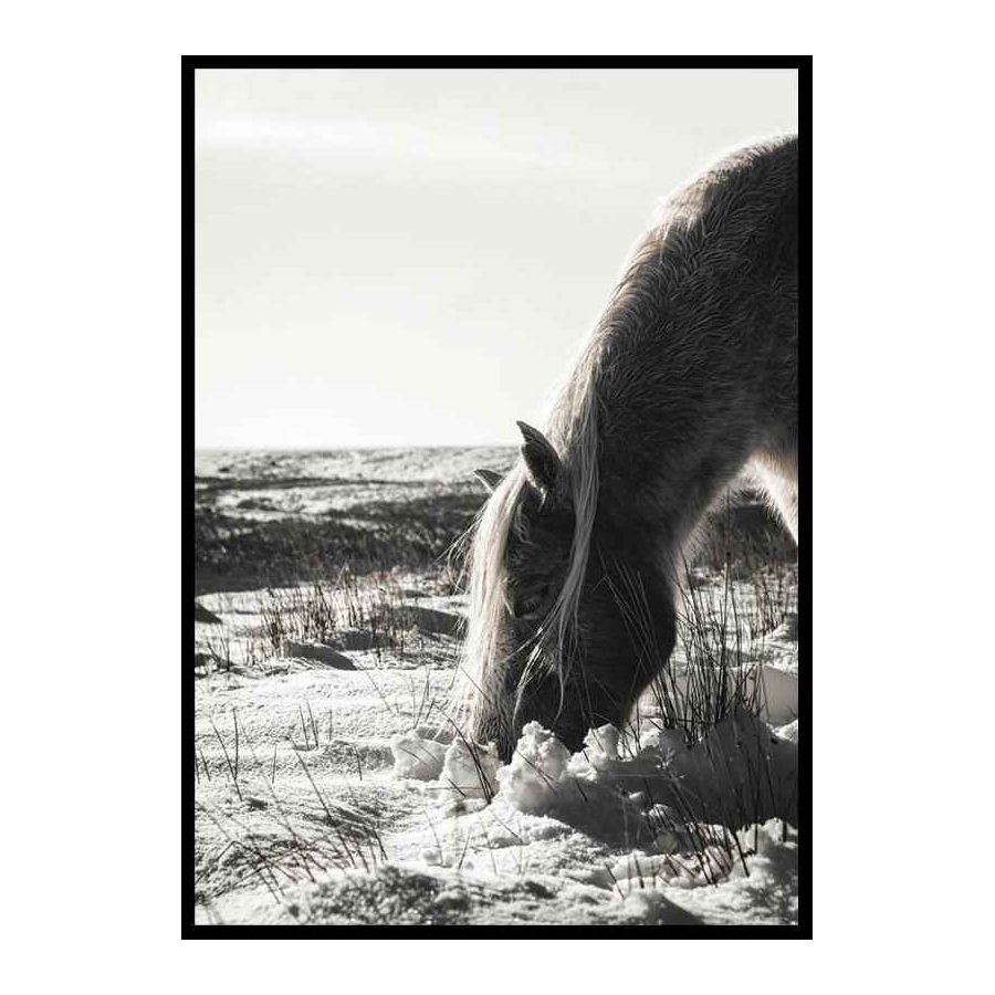 Poster Gallerix Winter Horse