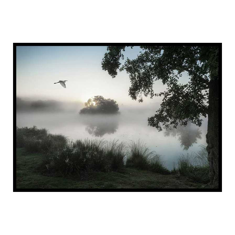 Poster Gallerix Misty Lake Bird