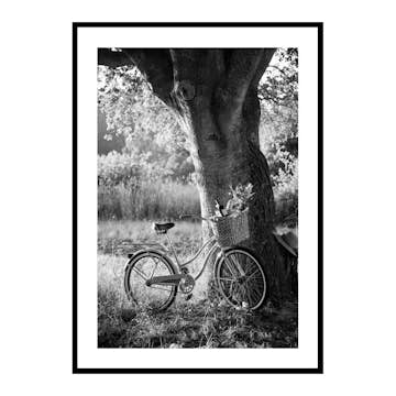 Poster Gallerix Bicycle With Picknick Basket