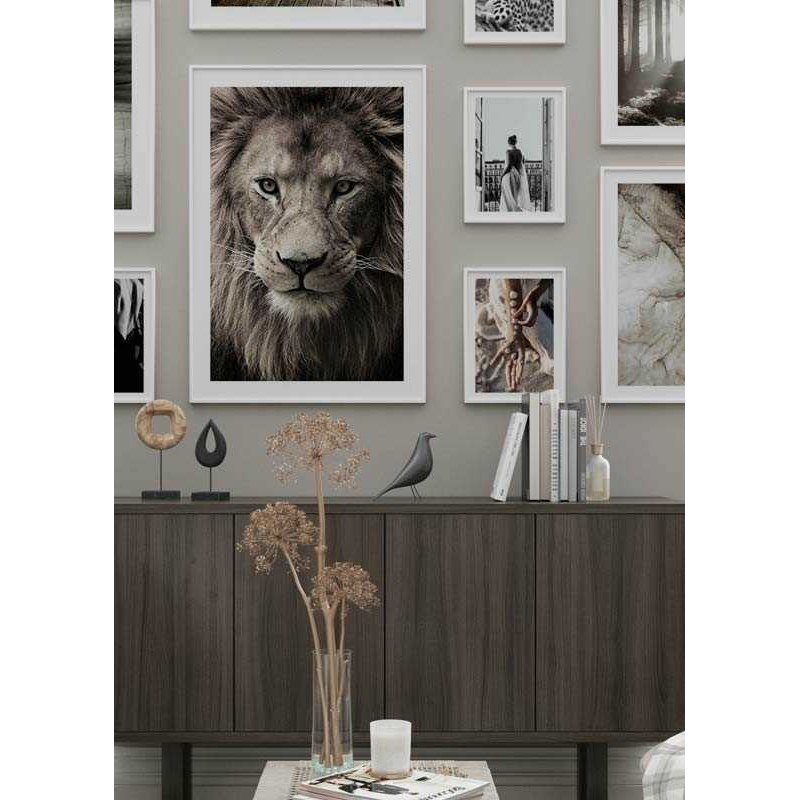 Poster Gallerix African Lion