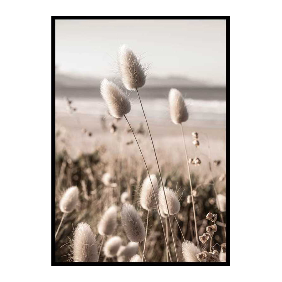 Poster Gallerix Soft Grass