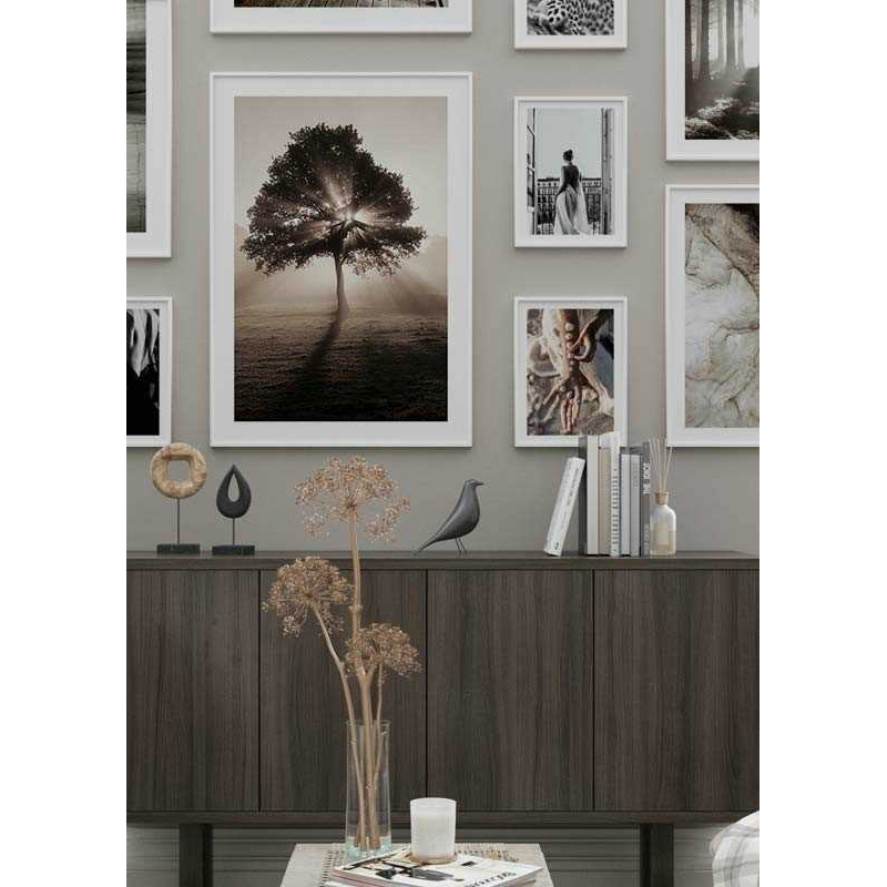 Poster Gallerix Tree In Sunrise