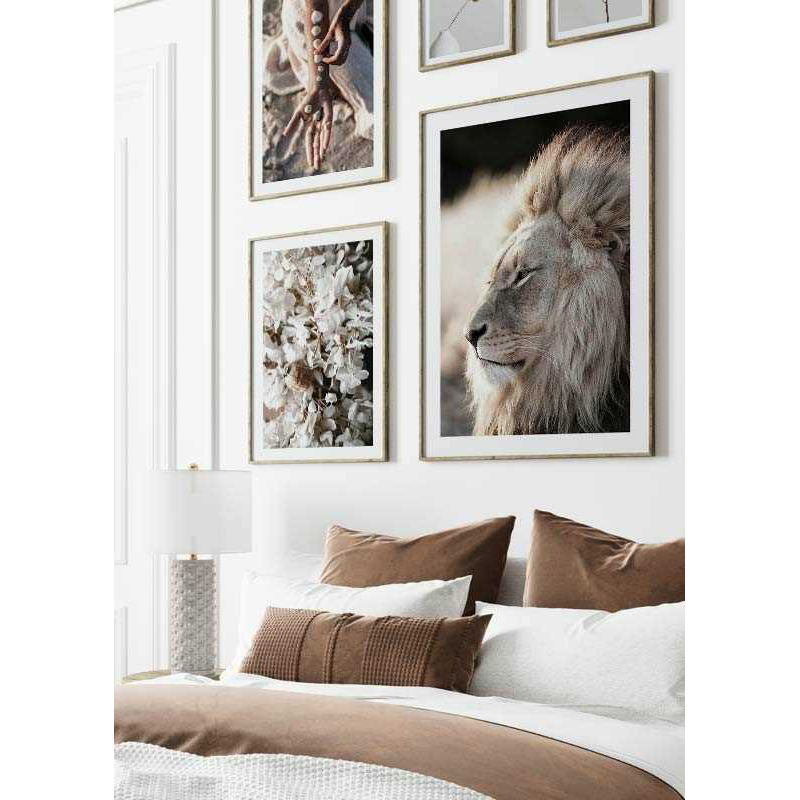 Poster Gallerix Male African Lion