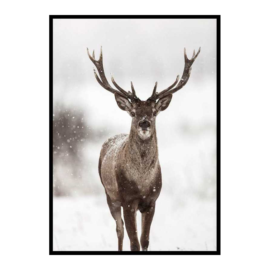 Poster Gallerix Majestic Red Deer