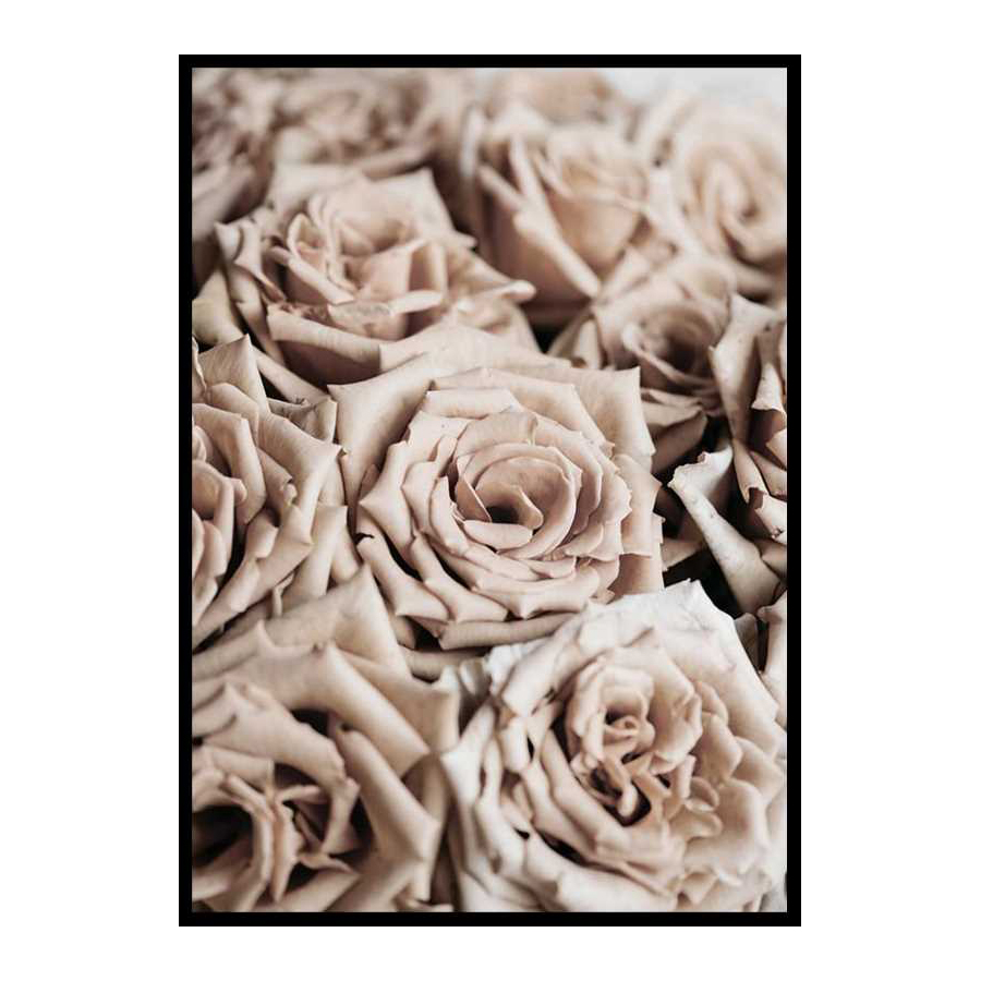 Poster Gallerix Roses
