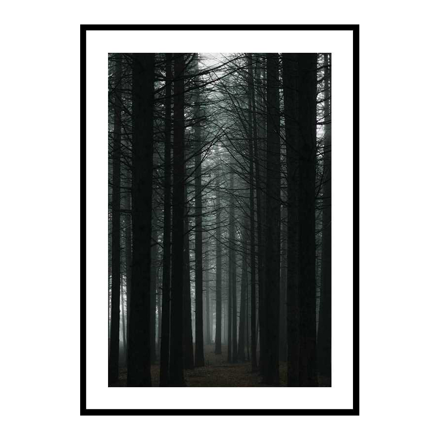 Poster Gallerix Dark Forest