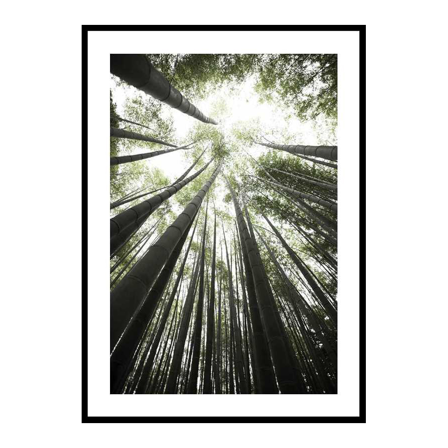 Poster Gallerix Bamboo Forest