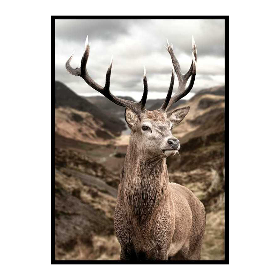 Poster Gallerix Deer In Mountain Landscape