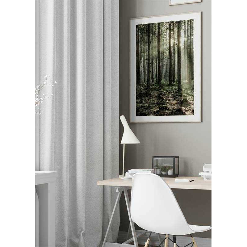Poster Gallerix Sunbeam Forest