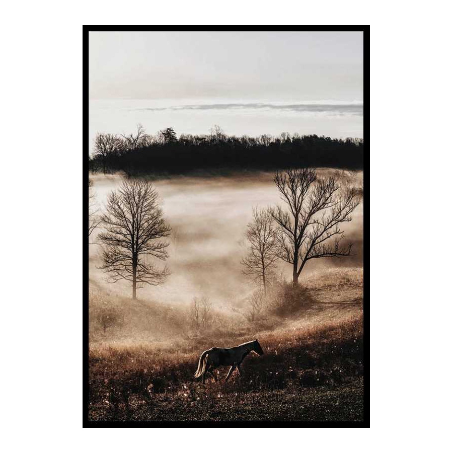 Poster Gallerix Horse In Sunset